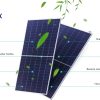 Balkonkraftwerk Solarmodul 435W Bifazial Glas-Glas Photovoltaik full black Solar panel